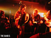 THE BAND 5